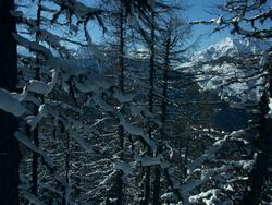 Cliquer pour agrandir l'image (1600x1200 pixels; 5625 KB)