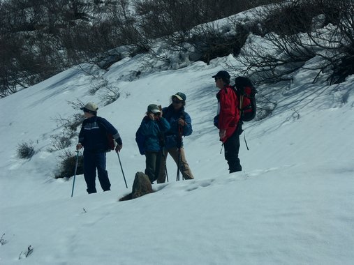 Clic ici pour voir l'image suivante