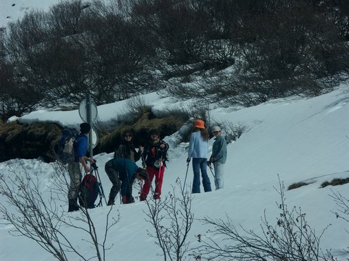 Clic ici pour voir l'image suivante