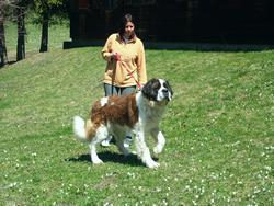 Cliquer pour agrandir l'image (1600x1200 pixels; 5625 KB)