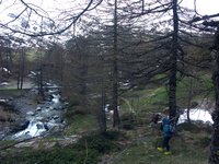 Cliquer pour agrandir l'image (1600x1200 pixels; 5625 KB)