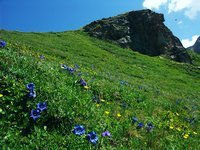 Cliquer pour agrandir l'image (1600x1200 pixels; 5625 KB)