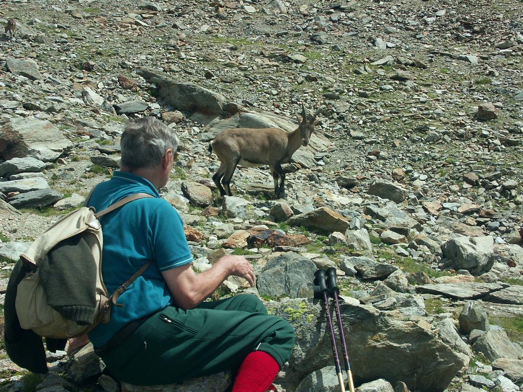 clic ici pour suivante