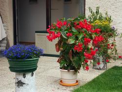 Cliquer pour agrandir l'image (1600x1200 pixels; 5625 KB)