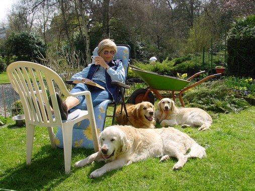 Clic ici pour voir l'image suivante