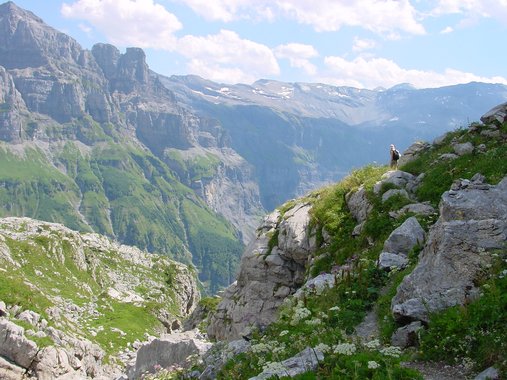 Clic ici pour voir l'image suivante