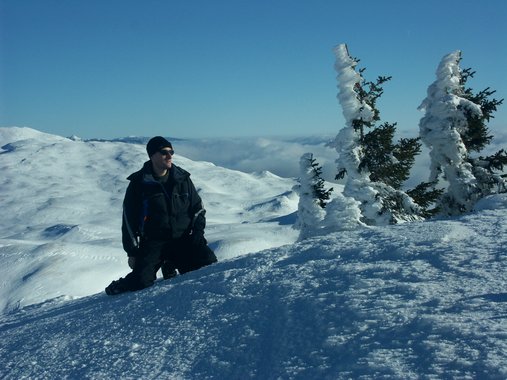 Clic ici pour voir l'image suivante