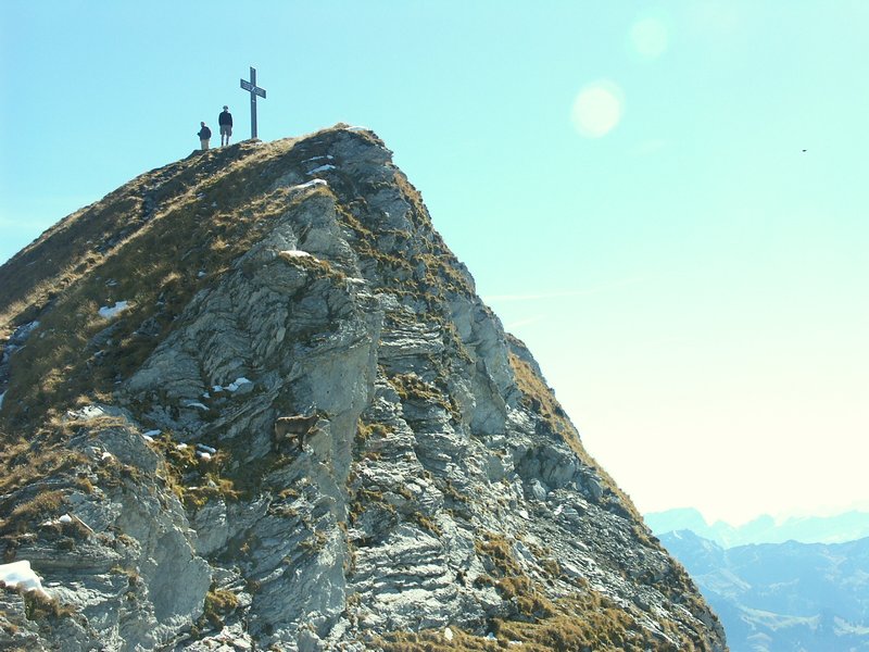 Clic ici pour voir l'image suivante