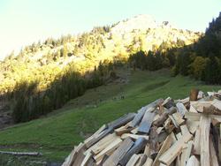 Cliquer pour agrandir l'image (800x600 pixels; 122 KB)