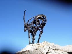 Cliquer pour agrandir l'image (800x600 pixels; 64 KB)