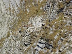 Cliquer pour agrandir l'image (800x600 pixels; 187 KB)