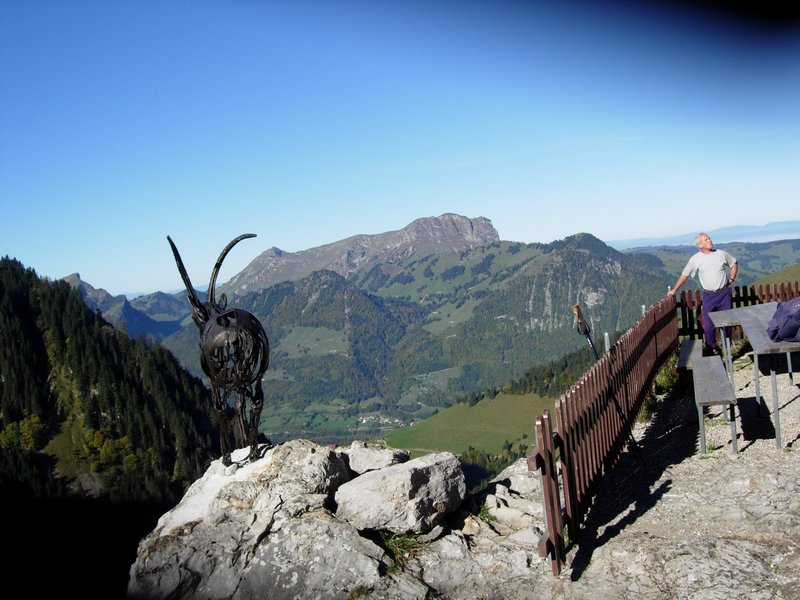 Clic ici pour voir l'image suivante