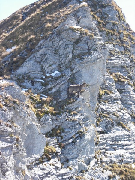 Clic ici pour voir l'image suivante