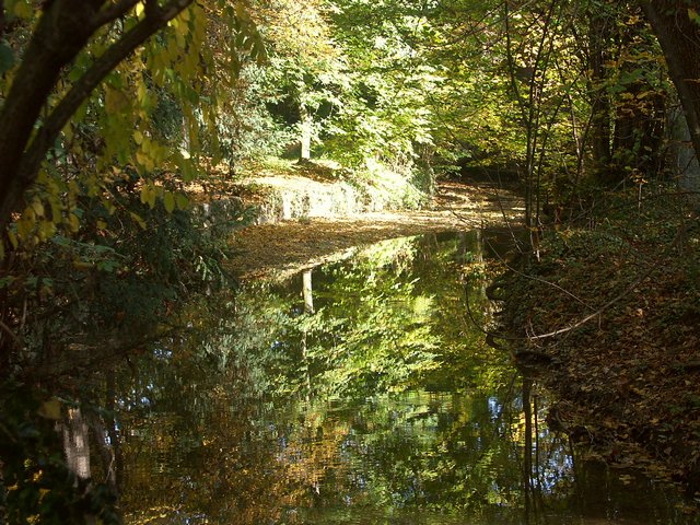 Clic ici pour voir l'image suivante