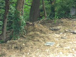 Cliquer pour agrandir l'image (1600x1200 pixels; 5625 KB)