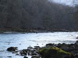 Cliquer pour agrandir l'image (2048x1536 pixels; 9216 KB)