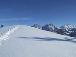 Cliquer pour agrandir l'image (2048x1536 pixels; 9216 KB)