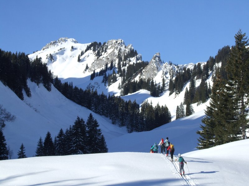 Clic ici pour voir l'image suivante