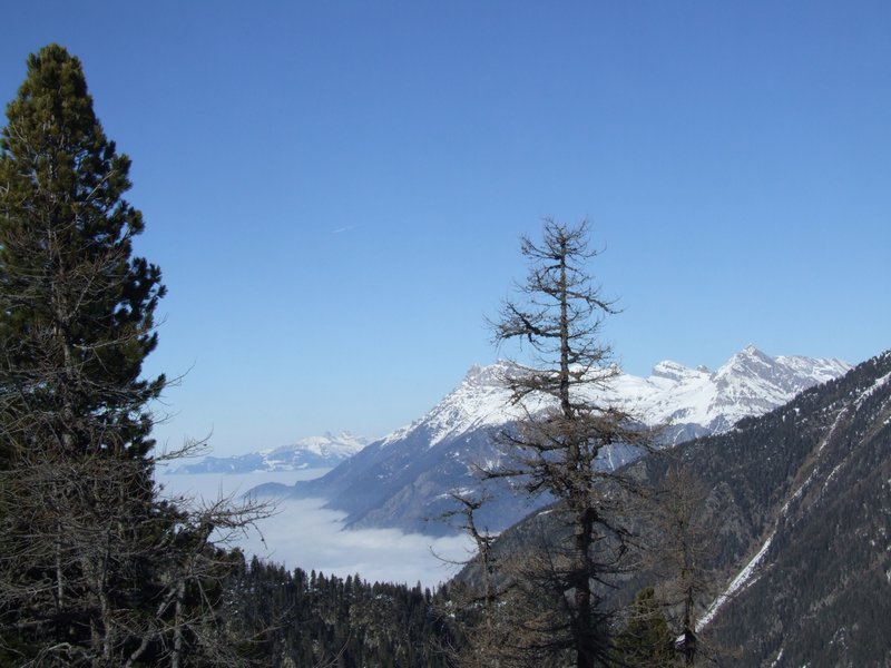 Clic ici pour voir l'image suivante