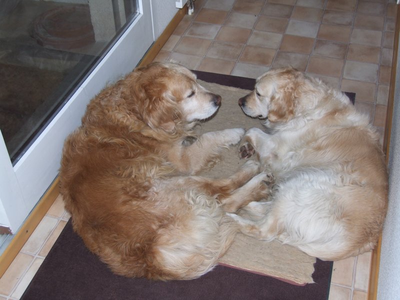 Cliquer pour voir l'image suivante