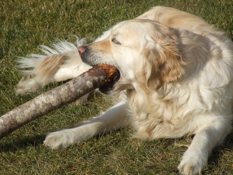 Cliquer pour voir l'image suivante