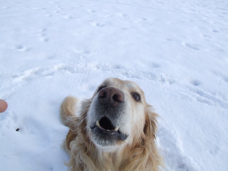 Cliquer pour voir l'image suivante