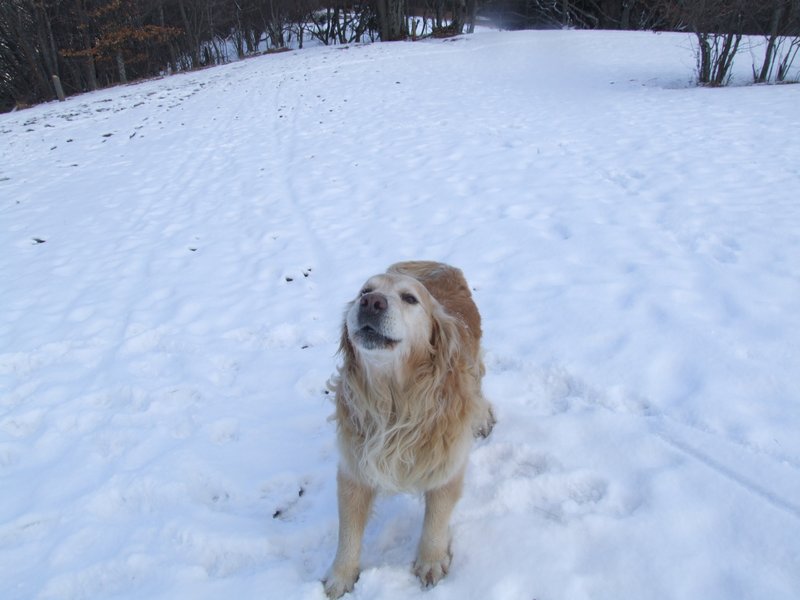 Cliquer pour voir l'image suivante