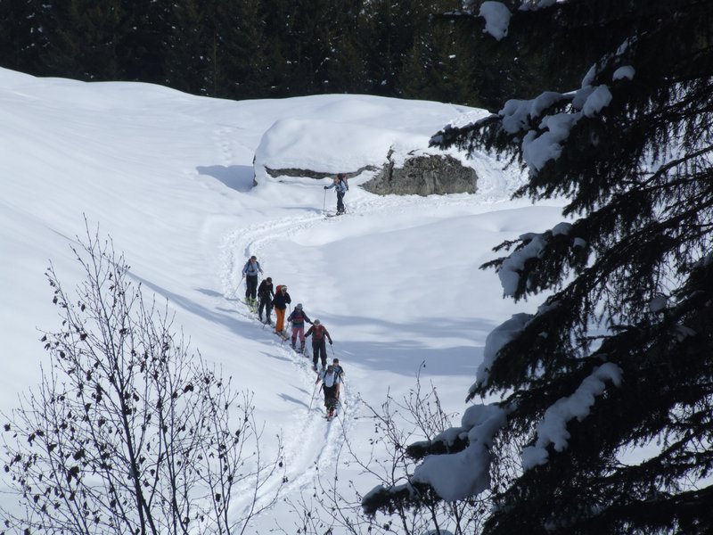 Cliquer pour voir l'image suivante