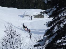 Cliquer pour agrandir l'image (800x600 pixels; 118 KB)