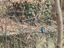 Cliquer pour agrandir l'image (800x600 pixels; 134 KB)