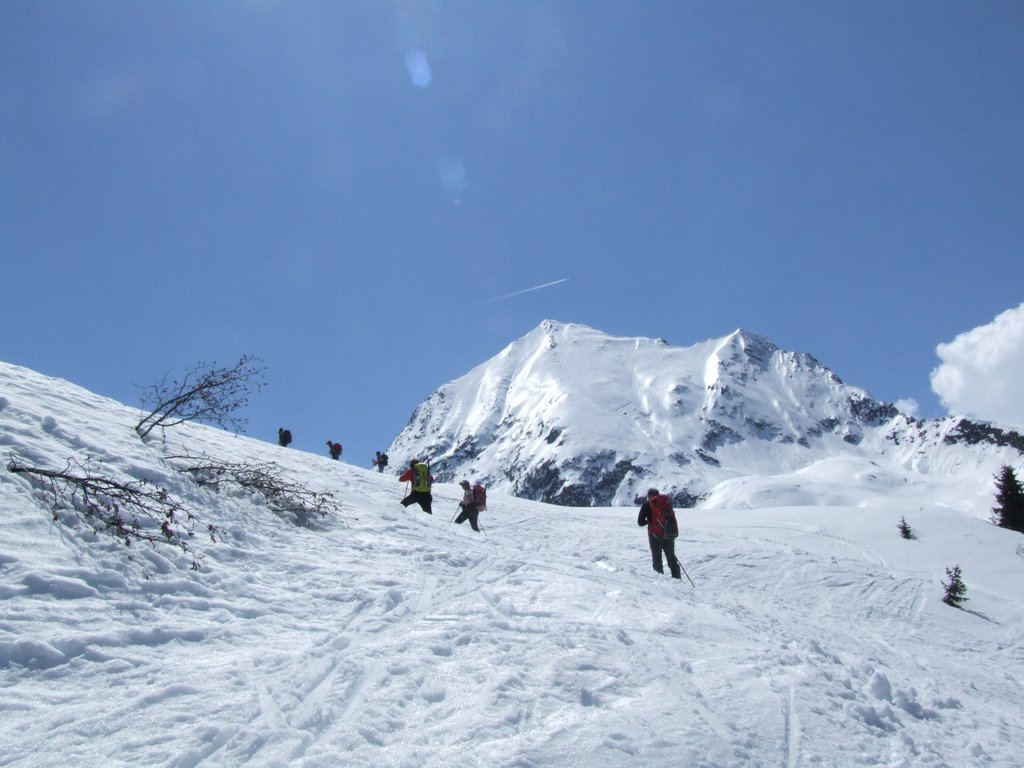 Cliquer pour voir l'image suivante