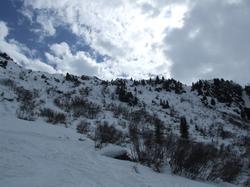 Cliquer pour agrandir l'image (1600x1200 pixels; 279 KB)