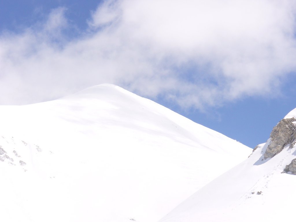 Cliquer pour voir l'image suivante