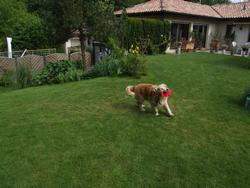 Cliquer pour agrandir l'image (2592x1944 pixels; 14762 KB)