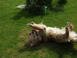 Cliquer pour agrandir l'image (2592x1944 pixels; 14762 KB)