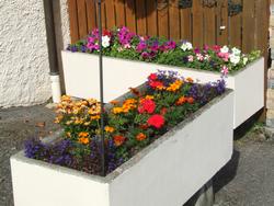 Cliquer pour agrandir l'image (2592x1944 pixels; 14762 KB)