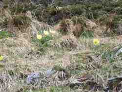 Cliquer pour agrandir l'image (800x600 pixels; 172 KB)