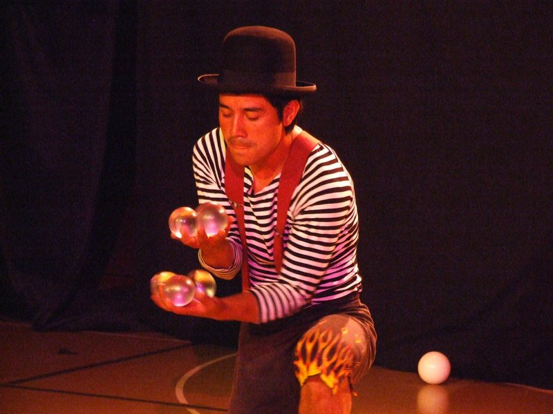 Cliquer pour voir l'image suivante