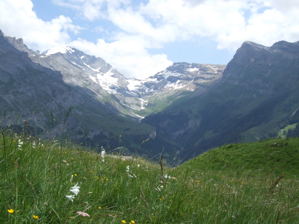 Cliquer pour voir l'image suivante