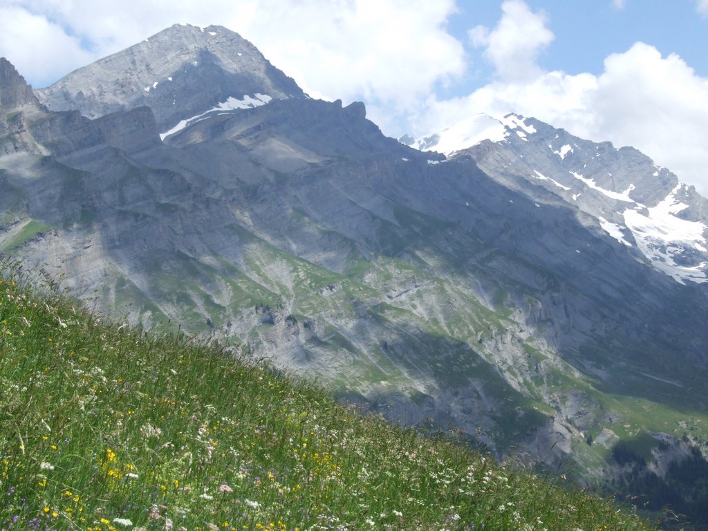 Cliquer pour voir l'image suivante