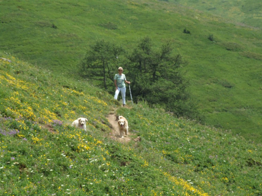 Cliquer pour voir l'image suivante