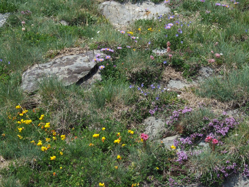 Cliquer pour voir l'image suivante