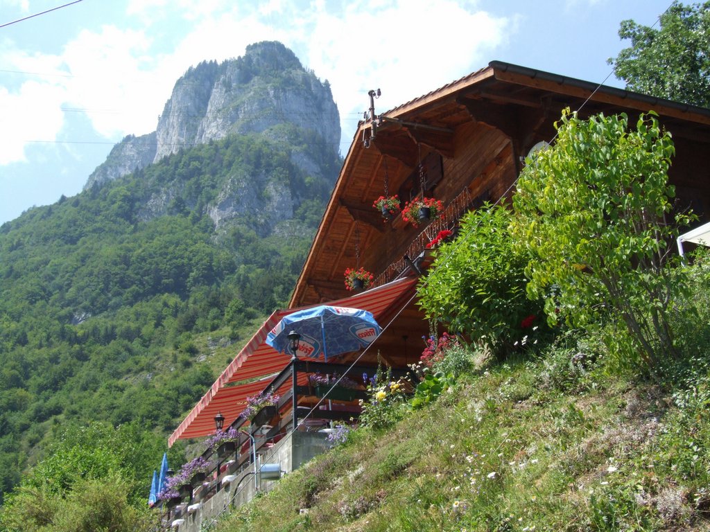 Cliquer pour voir l'image suivante