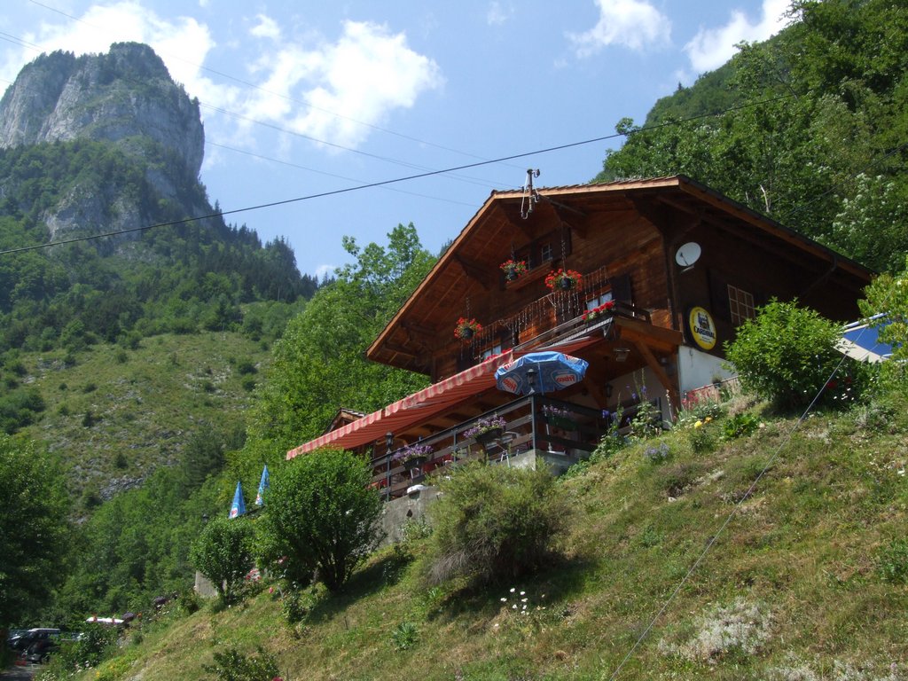 Cliquer pour voir l'image suivante