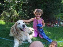 Cliquer pour agrandir l'image (1024x768 pixels; 231 KB)