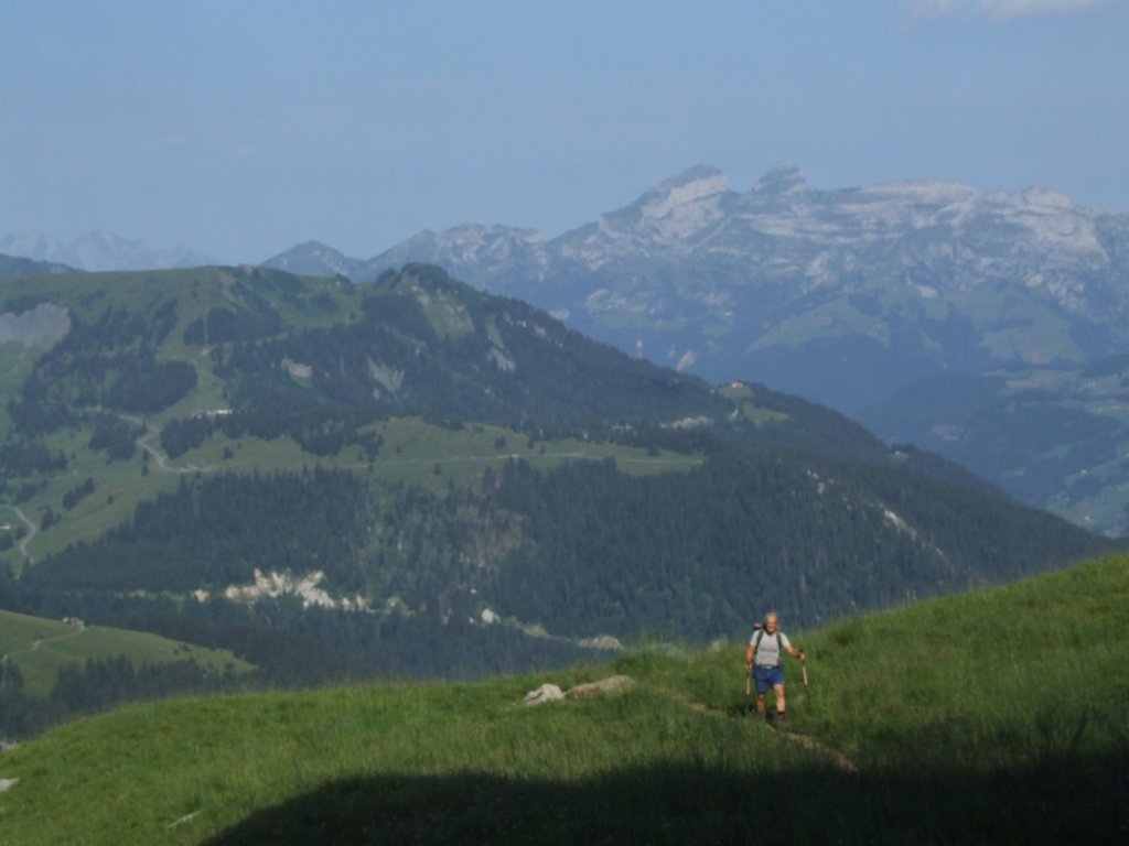 Cliquer pour voir l'image suivante