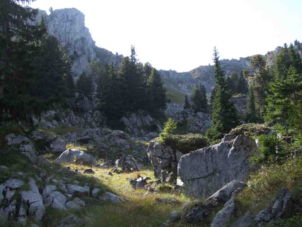 Cliquer pour voir l'image suivante