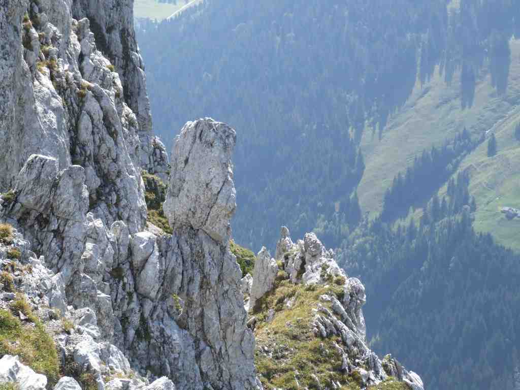 Cliquer pour voir l'image suivante