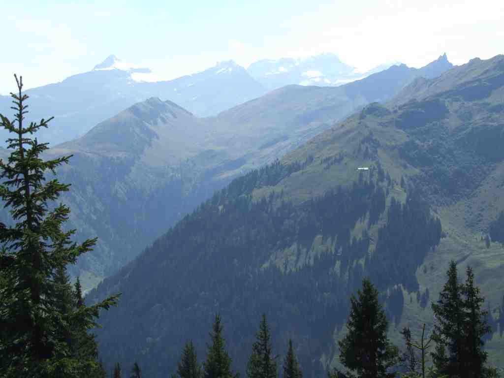 Cliquer pour voir l'image suivante