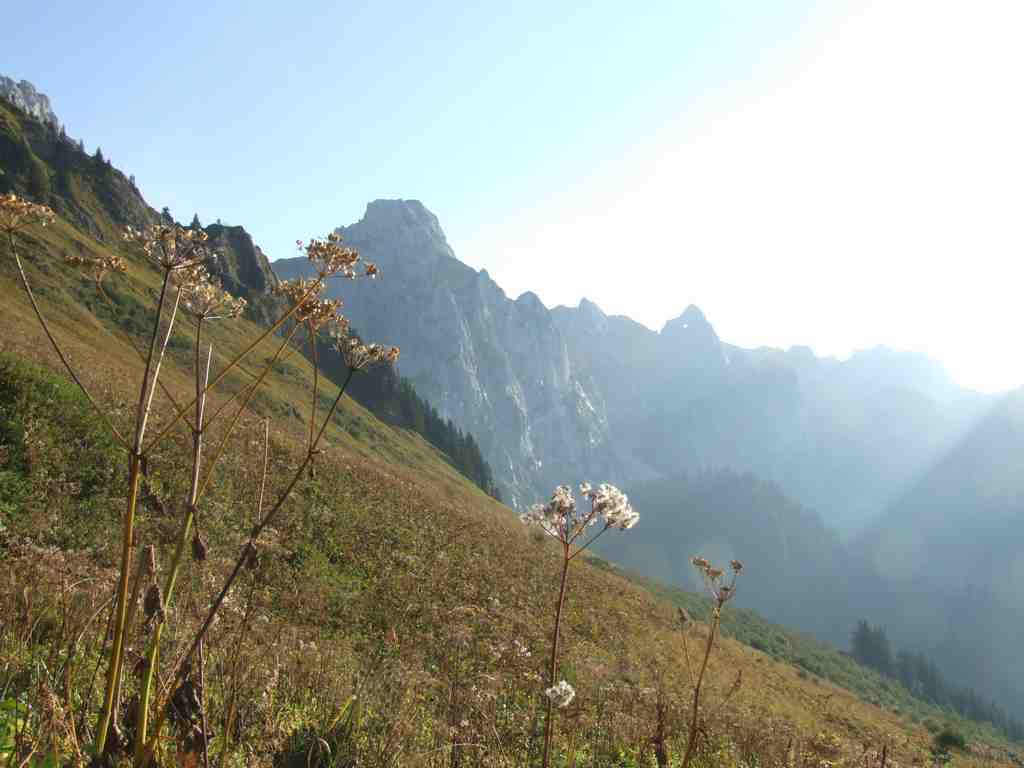 Cliquer pour voir l'image suivante